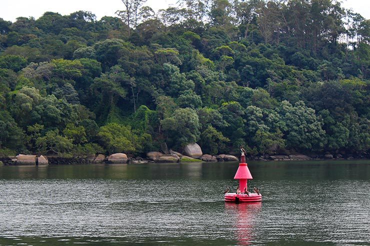 Barco Príncipe de Joinville a São Francisco do Sul (Foto: Esse Mundo É Nosso)