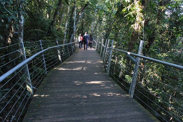 Visita ao Mirante de Joinville (Foto: Esse Mundo É Nosso)