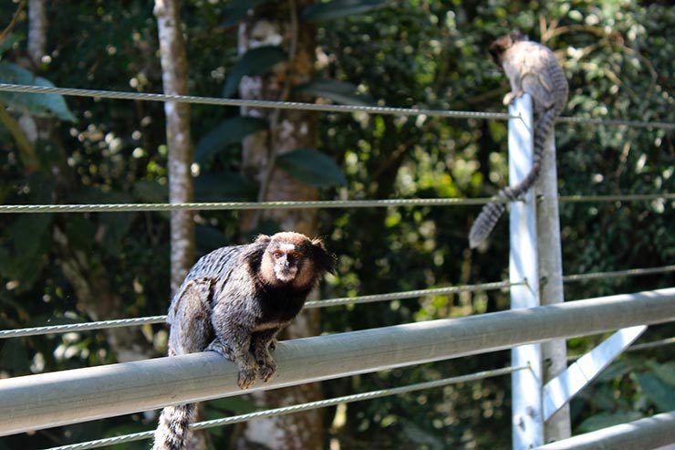 Visita ao Mirante de Joinville (Foto: Esse Mundo É Nosso)