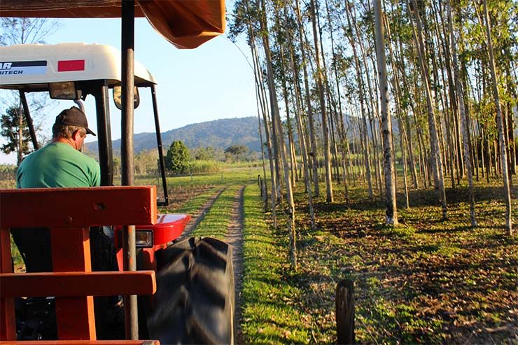 Homem dirige trator na Estrada Bonita (Foto: Esse Mundo É Nosso)