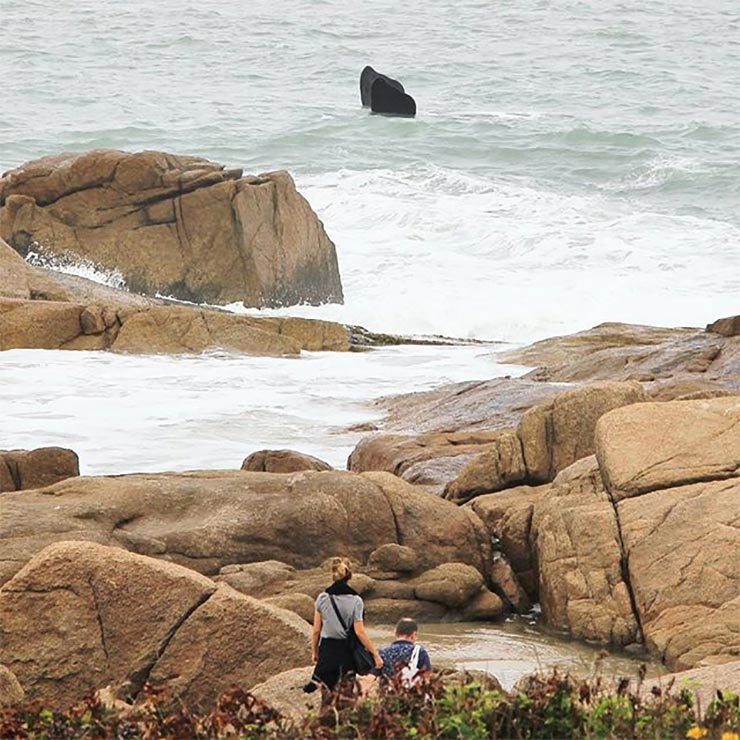 Baleias em Santa Catarina (Foto: Cortesia/Átila Ximenez)