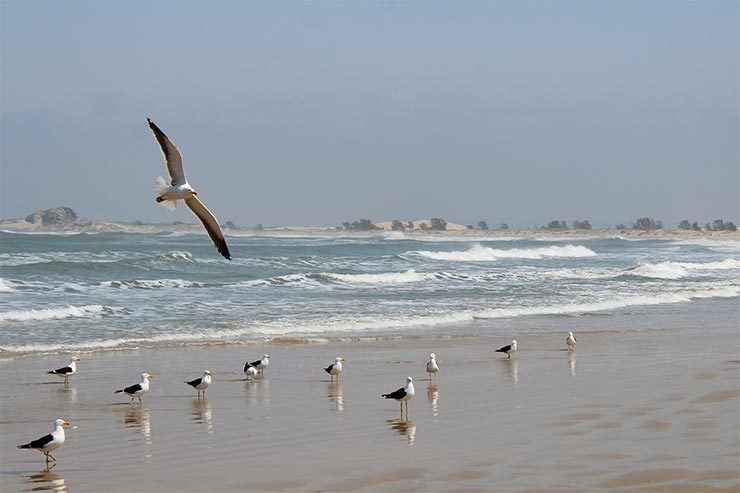 Praia do Cardoso no Farol de Santa Marta, Laguna/SC (Foto: Esse Mundo É Nosso)