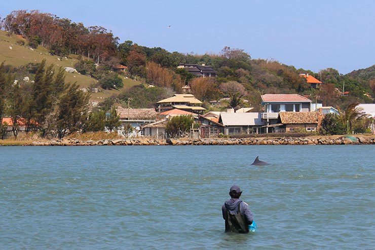 Pesca com botos na Ponta da Barra, em Laguna (Foto: Esse Mundo É Nosso)