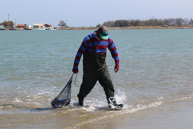 Pesca com botos na Ponta da Barra, em Laguna (Foto: Esse Mundo É Nosso)