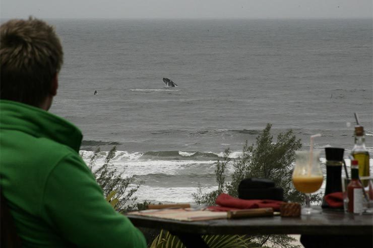 Rota da Baleia Franca: Restaurante Engenho do Mar (Foto: Divulgação)