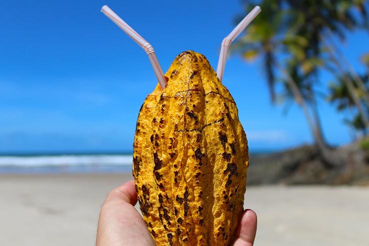 O que fazer em Itacaré: Caipirinha de Cacau (Foto: Esse Mundo É Nosso)