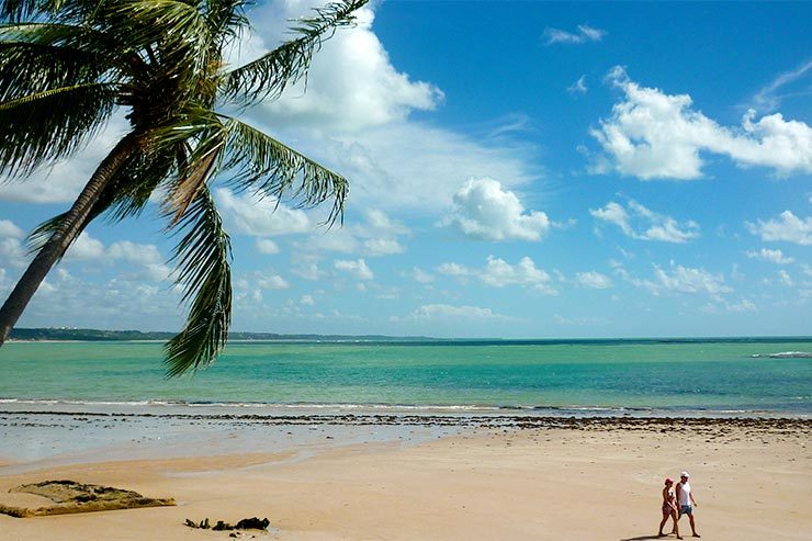 Quando ir pra Maceió: Qual a melhor época pra viajar pra lá Quando ir pra Maceió: Qual a melhor época pra viajar pra lá