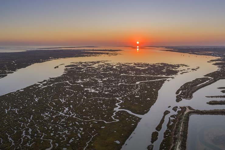 O que fazer em Faro, Portugal - Ria Formosa (Foto via Shutterstock)