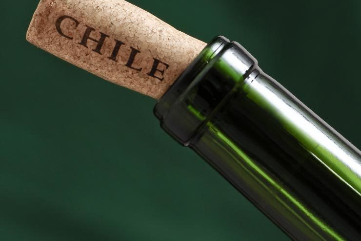 Quantos vinhos posso trazer do Chile numa viagem? (Foto via Shutterstock)