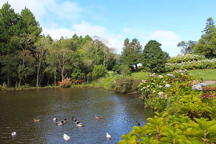 Gramado e Canela: Lago com patos em meio a árvores do Bangalôs da Serra (Foto: Esse Mundo é Nosso)