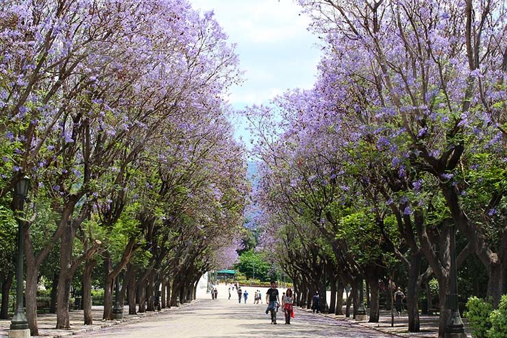 O que fazer em Atenas, Grécia (Foto: Esse Mundo É Nosso)