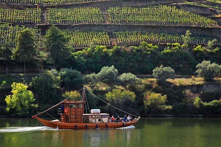 O que fazer no Porto, Portugal - Cruzeiro no Douro (Foto: Divulgação/Get Your Guide)