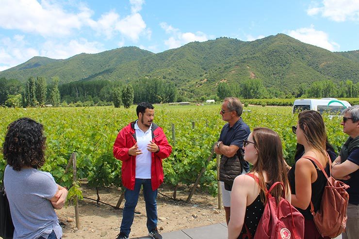 Vinícolas do Valle de Colchagua, Chile - Viña Vik (Foto: Esse Mundo É Nosso)