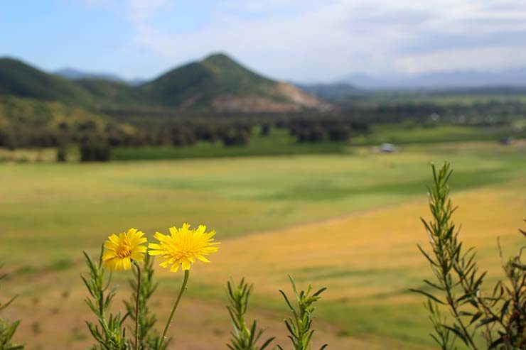 Vinícolas do Valle de Colchagua, Chile (Foto: Esse Mundo É Nosso)