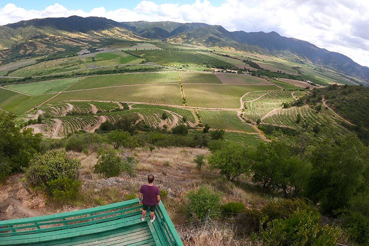 Vinícolas do Valle de Colchagua, Chile - Viña Santa Cruz (Foto: Esse Mundo É Nosso)