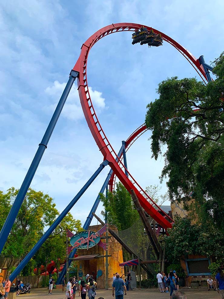 Tigris: A nova montanha-russa do Busch Gardens (Foto: Esse Mundo é Nosso)