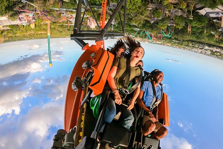 Nova montanha-russa do Busch Gardens (Foto: Divulgação)