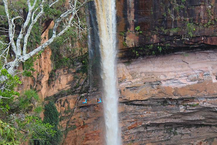 Araras na Cachoeira Véu de Noiva (Foto: Esse Mundo É Nosso)