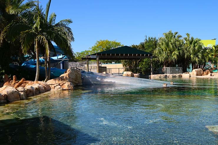 Aquatica Orlando (Foto: Esse Mundo é Nosso)