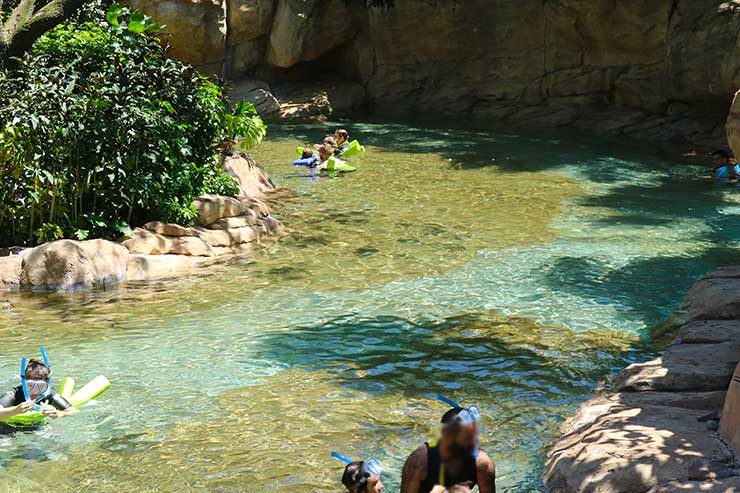 Discovery Cove (Foto: Esse Mundo é Nosso)