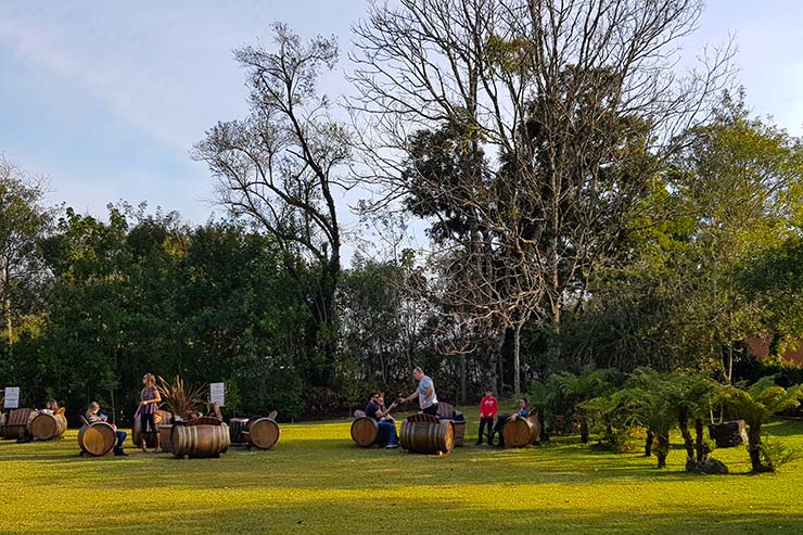 Vinícola Ravanello em Gramado – Dica de tour e degustação 🍷 - Todos os  Caminhos