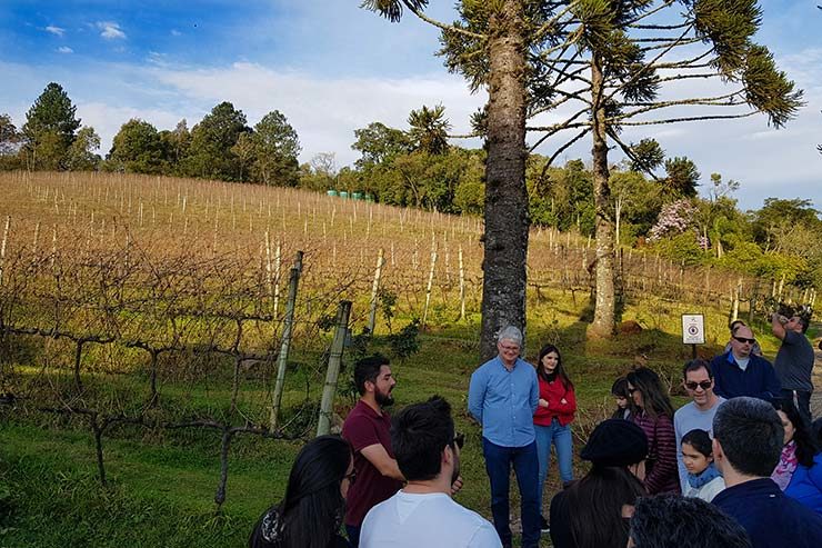 Vinícola em Gramado: Visita à Ravanello (Foto: Esse Mundo É Nosso)