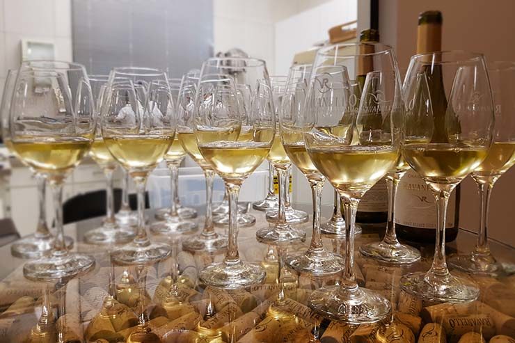 Degustação de Chardonnay na Vinícola em Gramado: Visita à Ravanello (Foto: Esse Mundo É Nosso)