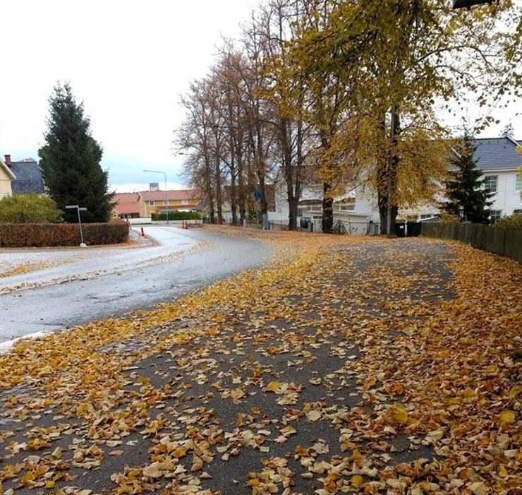 Outono na Suécia (Foto: Henrique Bezerra/Esse Mundo É Nosso)