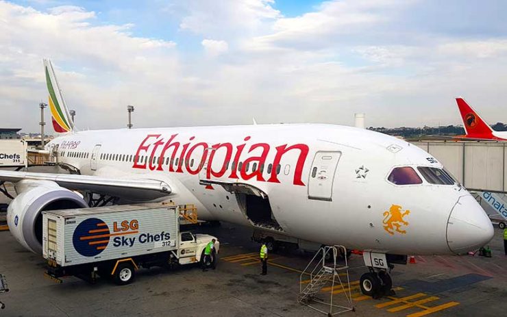 Como é voar Ethiopian Airlines (Foto: Esse Mundo É Nosso)