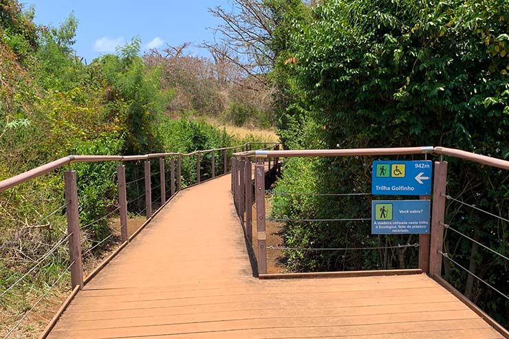 Passeios em Fernando de Noronha: Trilha do Golfinho (Foto: Esse Mundo é Nosso)
