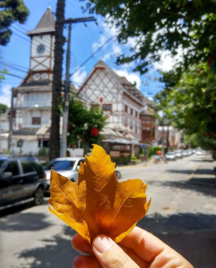 Capivari, em Campos do Jordão (Foto: Esse Mundo É Nosso)