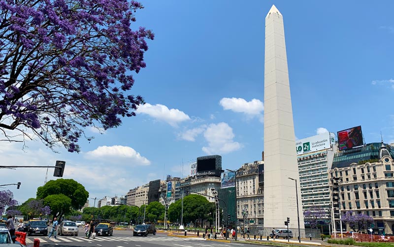 O que fazer em Buenos Aires: Obelisco na Av. 9 de julho com árvore florida ao lado (Foto: Esse Mundo é Nosso)