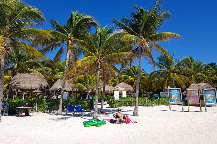 Mulher descansa sob coqueiros na Praia de Akumal