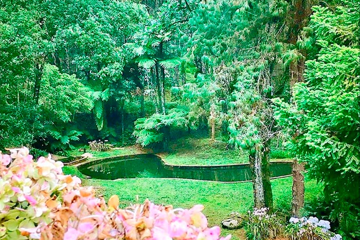 Parque Oschin em Monte Verde (Foto: Reprodução/Facebook Parque Oschin)