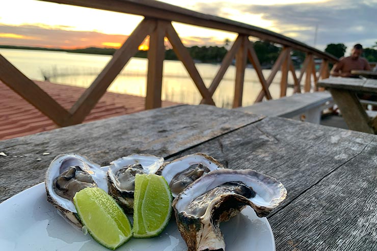 O que fazer em Boipeba: Ostras (Foto: Esse Mundo é Nosso)