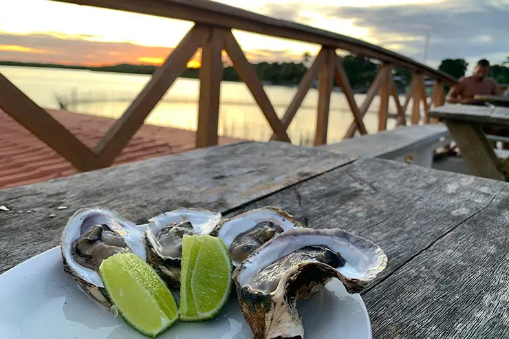 Restaurantes em Boipeba: Portal das Ostras com ostras e limão e o mar de fundo (Foto: Esse Mundo é Nosso)