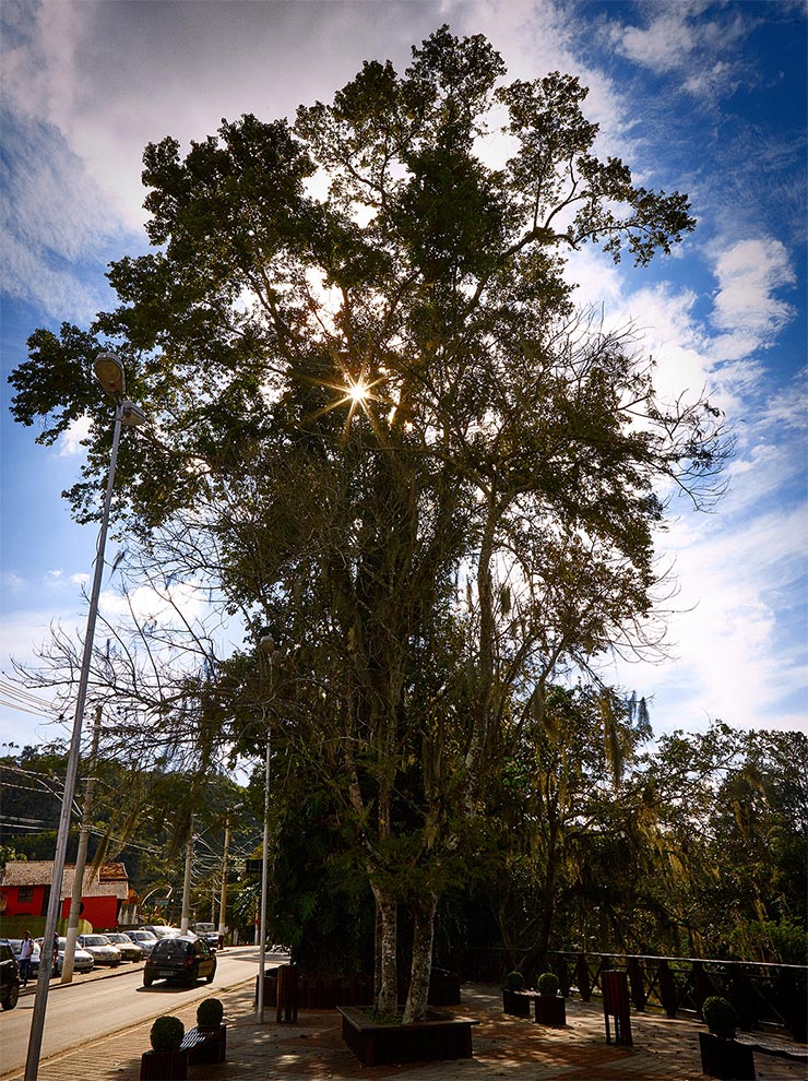 Parque Recanto do Américo em Guararema (Foto: Secretaria de Turismo de SP/Ken Chu - Expressão Studio)