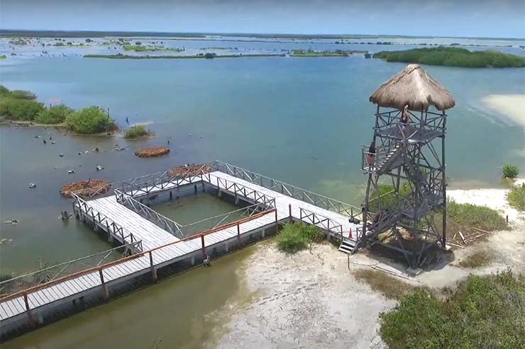 Torre de observação do Parque Punta Sur (Reprodução/YouTube)