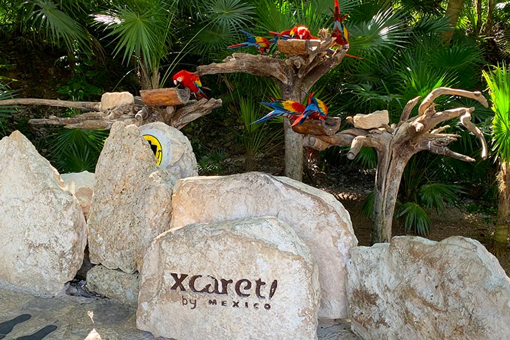 Área no Xcaret, no México, para o público tirar fotos (Foto: Esse Mundo é Nosso)