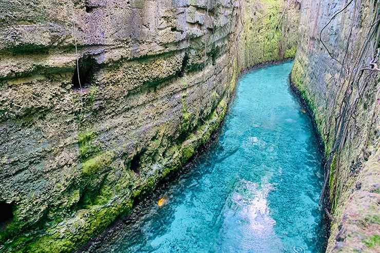 Um dos rios subterrâneos com água azul cristalina do parque situado na região de Playa del Carmen (Foto: Esse Mundo é Nosso)