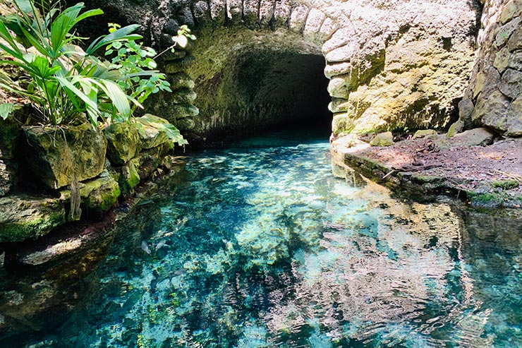 Rio subterrâneo com água esverdeada com árvores e folhas no Xcaret (Foto: Esse Mundo é Nosso)