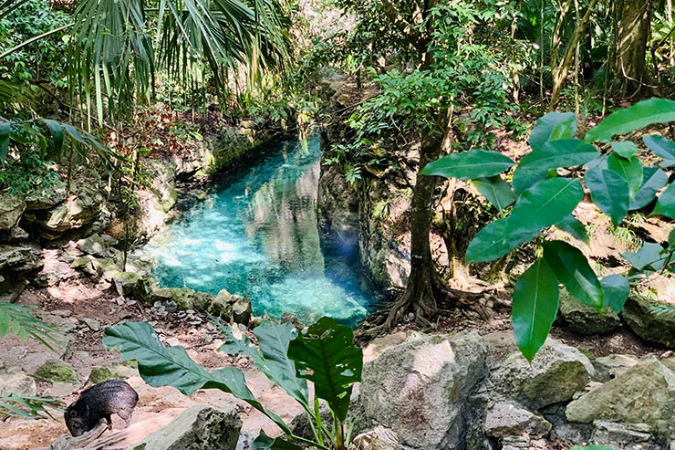 Paisagem no Xcaret (Foto: Esse Mundo é Nosso)