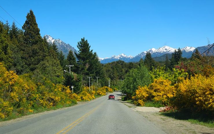Bariloche no verão: Estrada com árvores com folhas amarelas e montanha com neve (Foto: Esse Mundo é Nosso)
