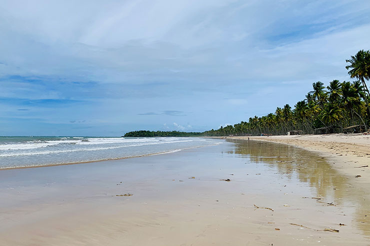 Mar, céu azul, areia e coqueiros na praia da Cueira (Foto: Esse Mundo é Nosso)