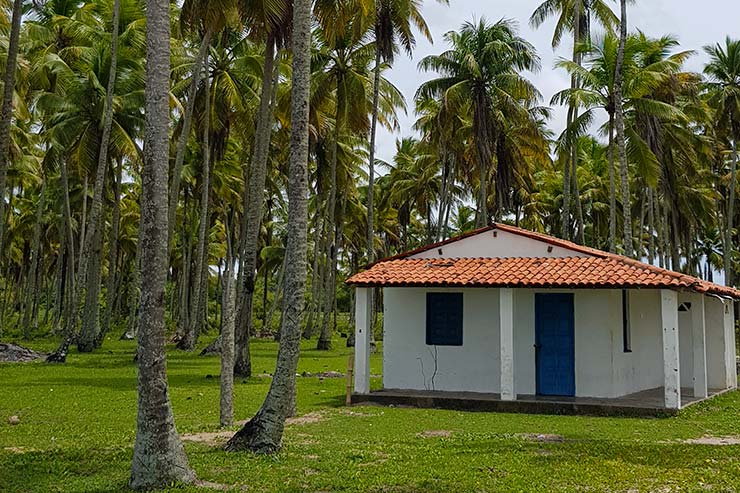 Fazenda e coqueirais em Boipeba (Foto: Esse Mundo É Nosso)