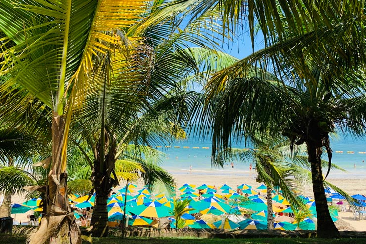 Barracas na Praia da Ponta de Nossa Senhora de Guadalupe (Foto: Esse Mundo é Nosso)