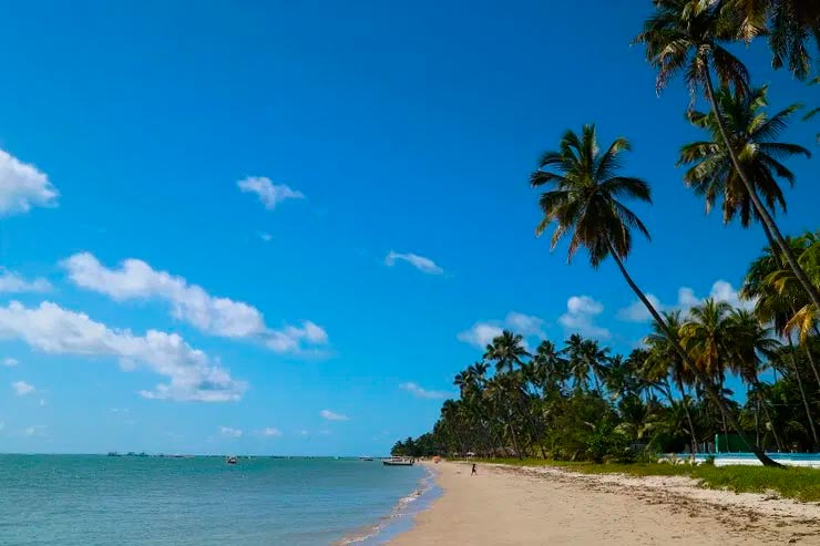 Mar e coqueiros da Praia dos Carneiros (Foto: Esse Mundo é Nosso)