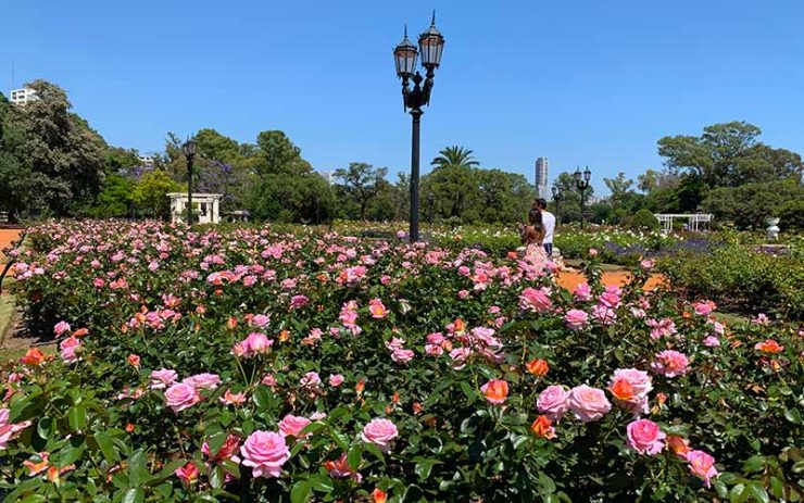 Rosas no El Rosedal de  Palermo (Foto: Esse Mundo é Nosso)