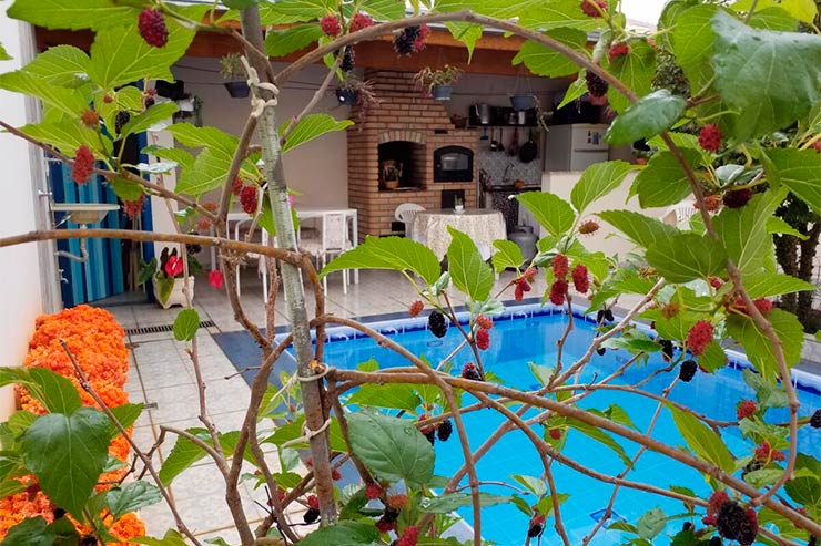 Hotéis e pousadas em São Roque: Piscina e plantas na área externa da pousada  Flor de Canela (Foto: Divulgação)