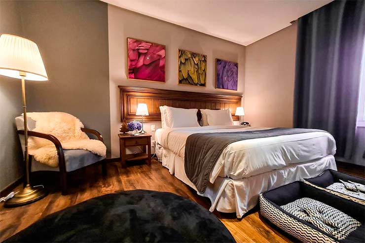 Hotel em Canela: Quarto do Flame com cama de casal, três quadros, abajur e caminhas para pets.